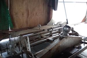 Rasca odino da 80 per la pesca delle vongole