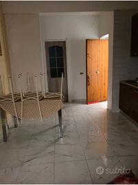 Casa a Mare Santa Maria del Cedro a 250m da mare