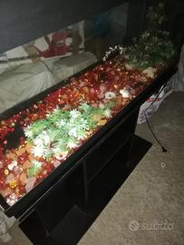 Acquario completo come in foto