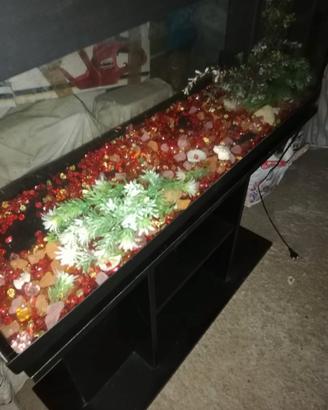 Acquario completo come in foto