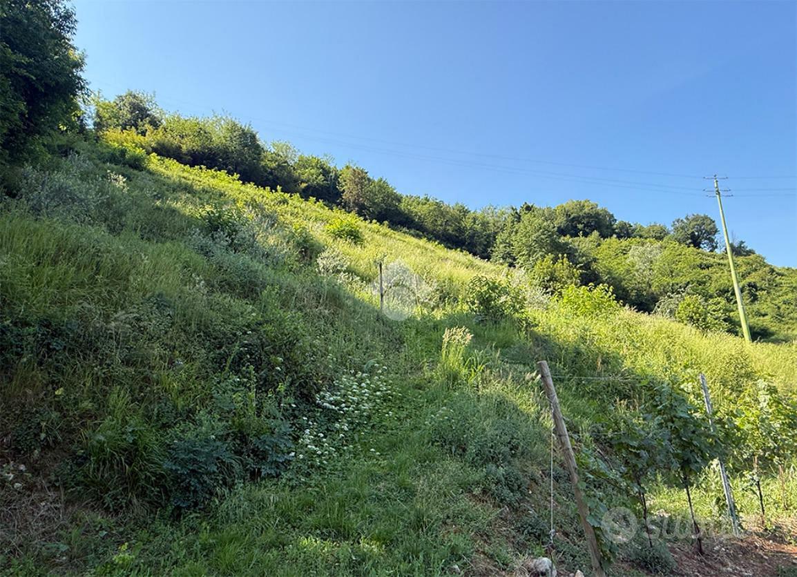 TER. AGRICOLO A GUSSAGO - Vista 2