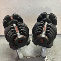 Set manubri regolabili