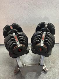 Set manubri regolabili