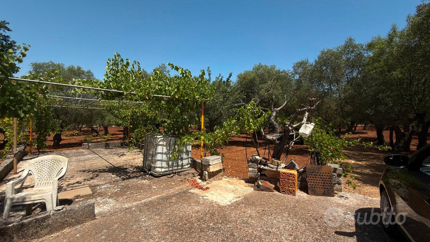 Terreno Residenziale Monopoli - Vista 3