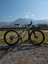 Specialized Stumpjumper ST 