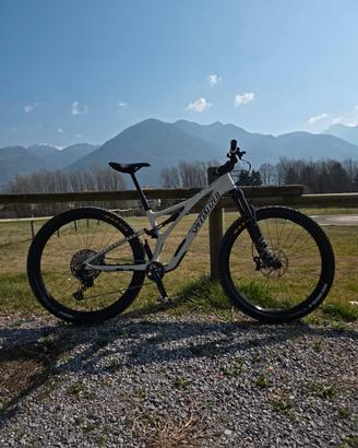 Specialized Stumpjumper ST 