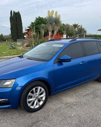Skoda Octavia 1.6 TDI CR 115 CV DSG Wagon Executiv
