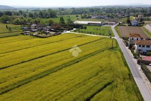 TER. AGRICOLO A PONSACCO
