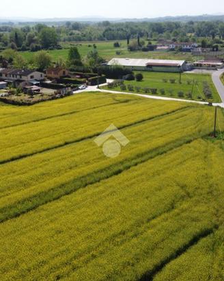 TER. AGRICOLO A PONSACCO