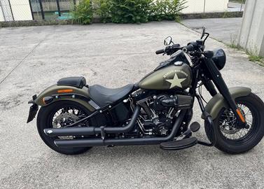 HD softail slim s