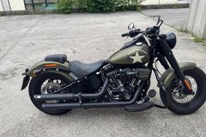 HD softail slim s