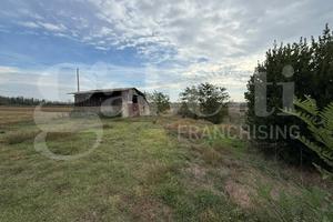 Terreno Agricolo Bientina [Cod. rif 3390417VCG]