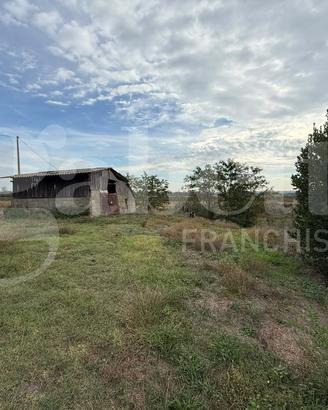 Terreno Agricolo Bientina [Cod. rif 3390417VCG]