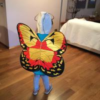 Costume di carnevale