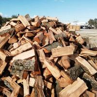 legna da ardere secca 