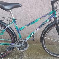 Mountain bike donna 26