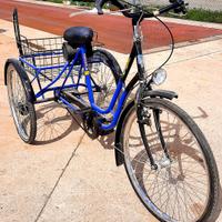 Bicicletta a tre ruote Triciclo