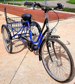 Bicicletta a tre ruote Triciclo