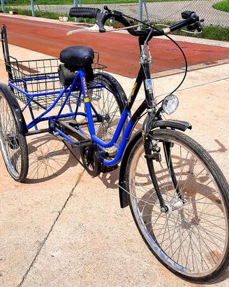 Bicicletta a tre ruote Triciclo