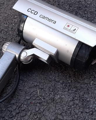 telecamera finta