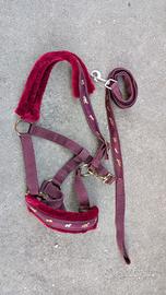 Capezza e lunghina, NUOVA Pony