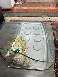 Acquario per tartarughe