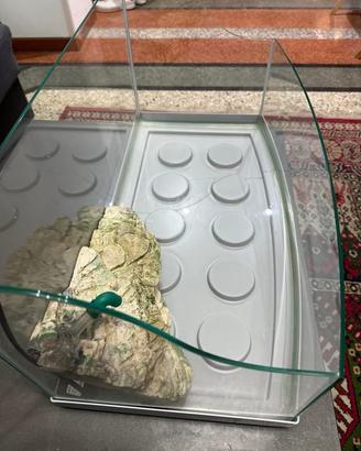 Acquario per tartarughe