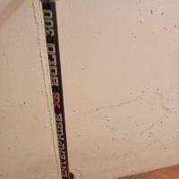 canna da pesca + mulinello