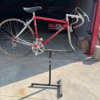 Bellissime biciclette vintage