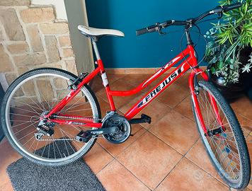 bicicletta 26 pollici 