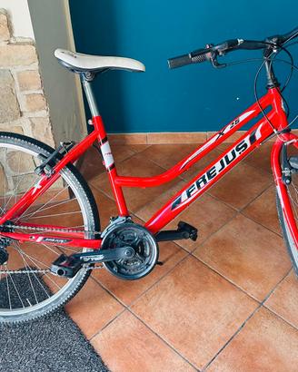 bicicletta 26 pollici 