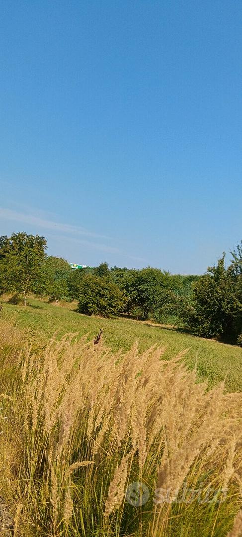 Terreno agricolo - Ravenna zona Borgo Montone - Vista 3