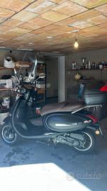 Motron Ideo 50 - 2023