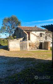 RUDERE CON GIARDINO E TERRENO