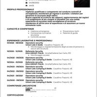 Vigilanza,portierato notturno