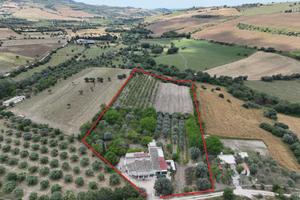 Casa singola a Noto (SR)