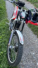 Trial beta evo 290