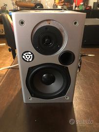 Casse audio attacchi RCA