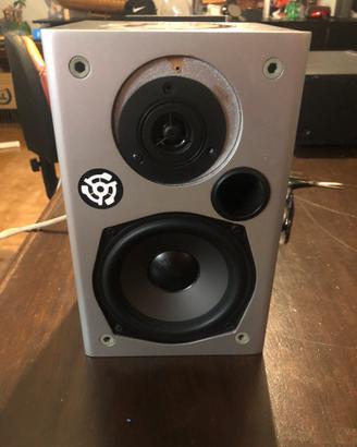 Casse audio attacchi RCA