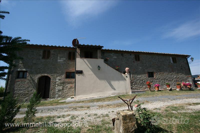 AG32 - Radicofani azienda agricola in posi - Vista 3