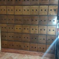 ARMADI SCUOLA CANTO CANARINI MALINOIS