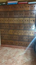 ARMADI SCUOLA CANTO CANARINI MALINOIS