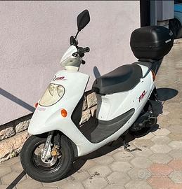 Scooter F10