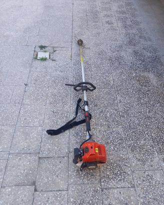 Decespugliatore