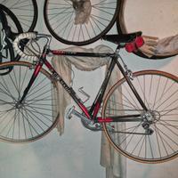Bicicletta da corsa carbitubo - Colnago