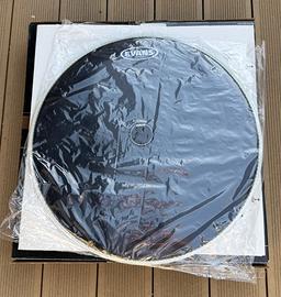 Evans pelle battente Hydraulic Black 22”