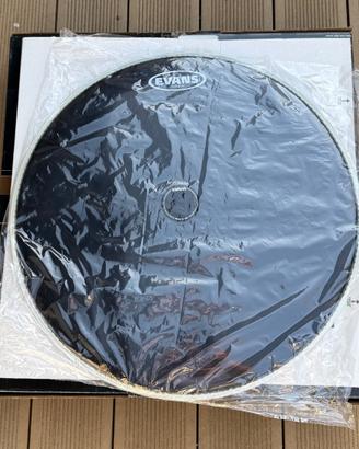 Evans pelle battente Hydraulic Black 22”