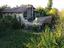 Immagine 22