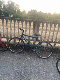 Bicicletta uomo