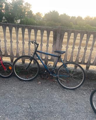 Bicicletta uomo
